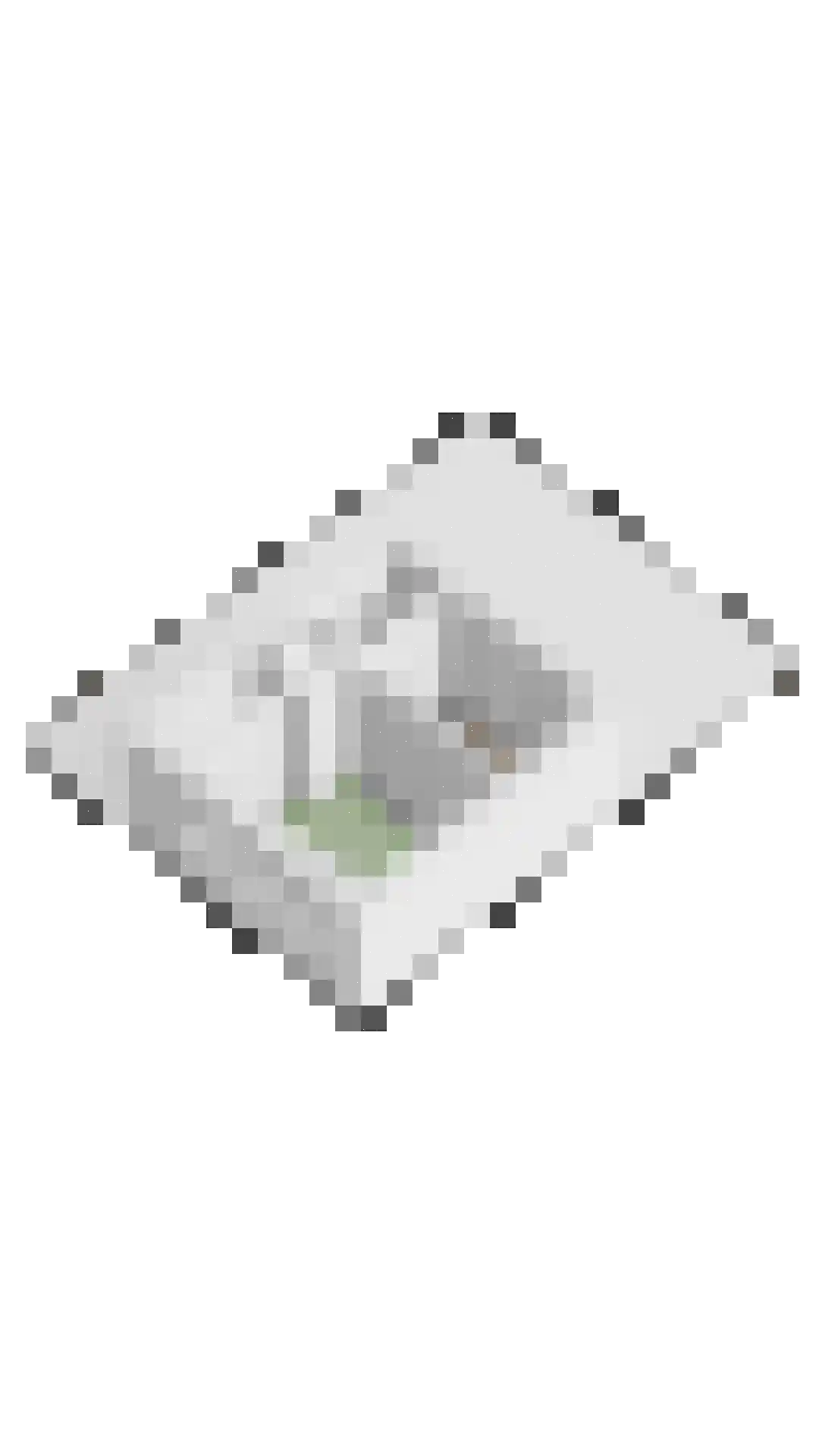 Siertuin 20 Houten thumbnail 51