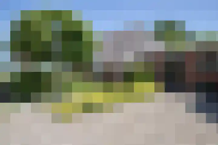 Sietse Veldstraweg 11 Den Ham thumbnail 12