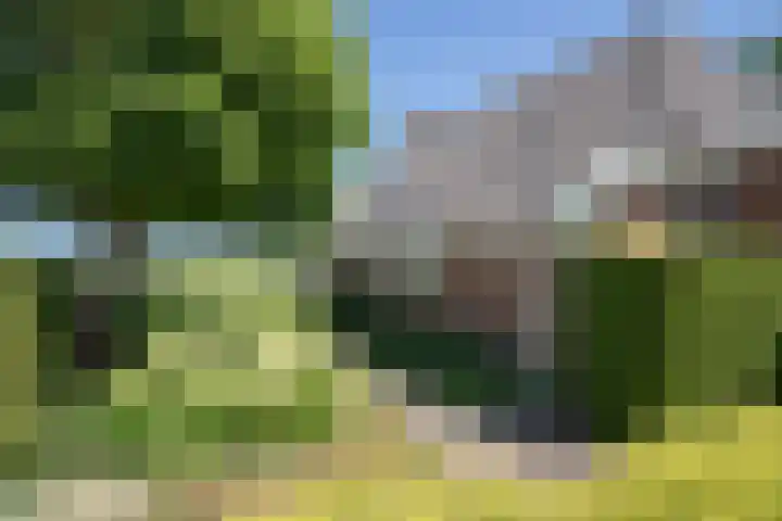 Sietse Veldstraweg 11 Den Ham thumbnail 13
