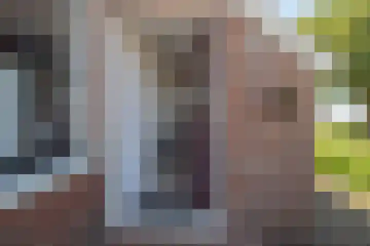 Sietse Veldstraweg 11 Den Ham thumbnail 15