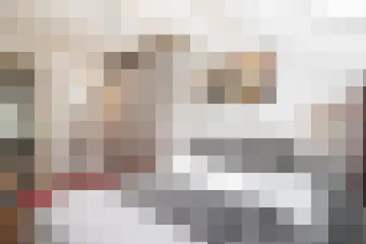 Sietse Veldstraweg 11 Den Ham thumbnail 27