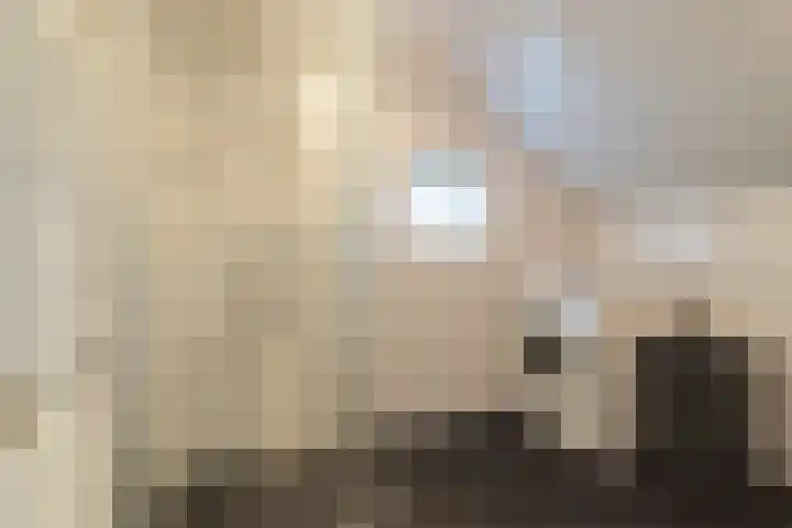 Sietse Veldstraweg 11 Den Ham thumbnail 29