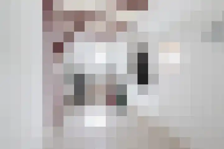 Sietse Veldstraweg 11 Den Ham thumbnail 31