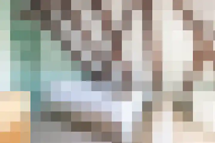 Sietse Veldstraweg 11 Den Ham thumbnail 33