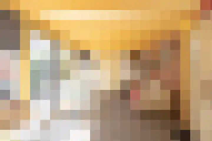Sietse Veldstraweg 11 Den Ham thumbnail 35