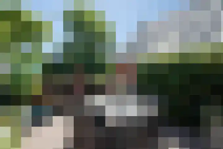 Sietse Veldstraweg 11 Den Ham thumbnail 37
