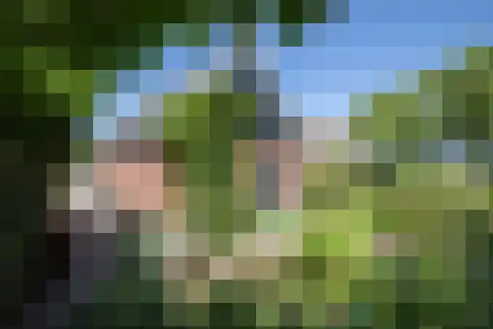 Sietse Veldstraweg 11 Den Ham thumbnail 42