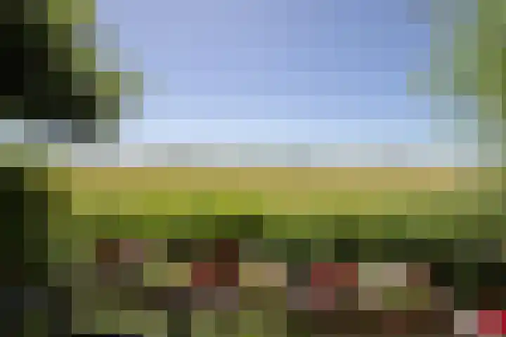 Sietse Veldstraweg 11 Den Ham thumbnail 44