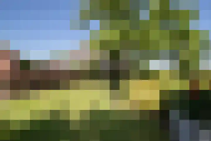 Sietse Veldstraweg 11 Den Ham thumbnail 46