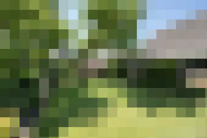 Sietse Veldstraweg 11 Den Ham thumbnail 47