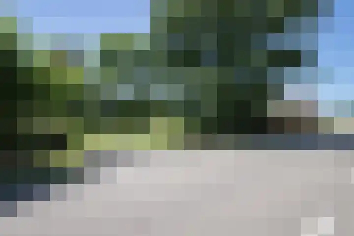 Sietse Veldstraweg 11 Den Ham thumbnail 48