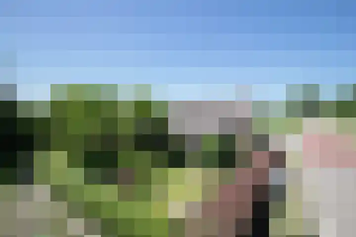 Sietse Veldstraweg 11 Den Ham thumbnail 49