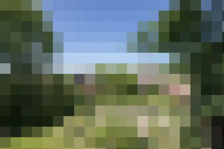 Sietse Veldstraweg 11 Den Ham thumbnail 5