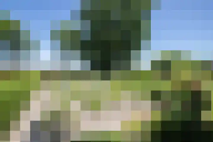 Sietse Veldstraweg 11 Den Ham thumbnail 50
