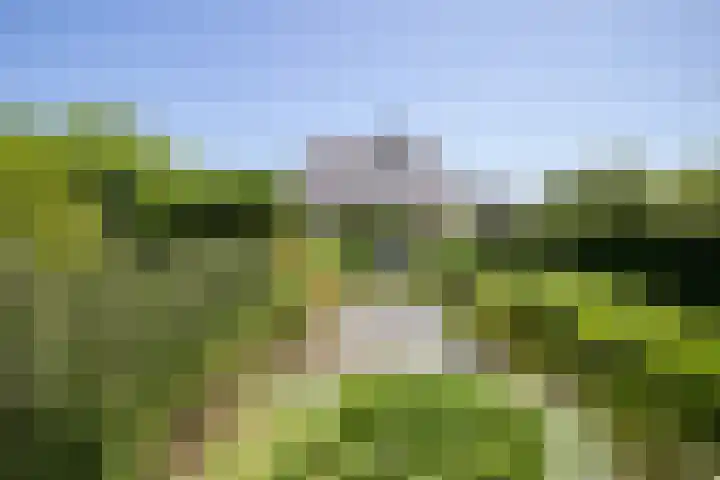 Sietse Veldstraweg 11 Den Ham thumbnail 51