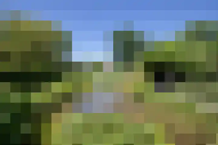 Sietse Veldstraweg 11 Den Ham thumbnail 52