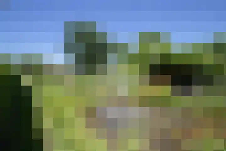 Sietse Veldstraweg 11 Den Ham thumbnail 53