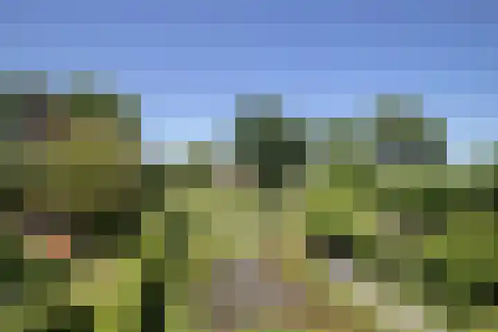 Sietse Veldstraweg 11 Den Ham thumbnail 54
