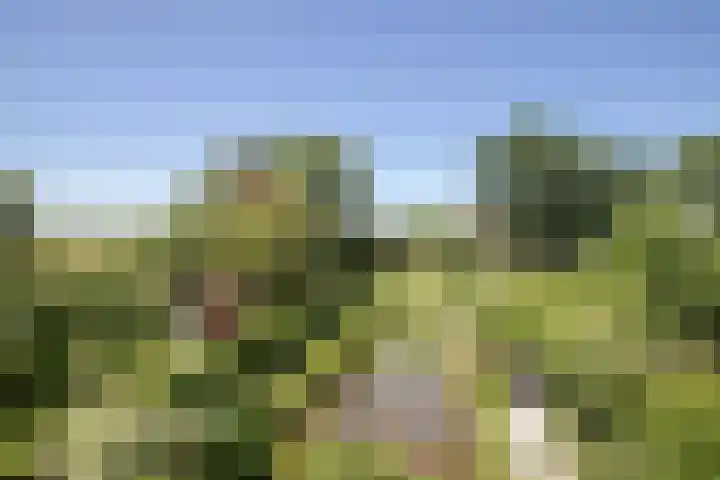 Sietse Veldstraweg 11 Den Ham thumbnail 55