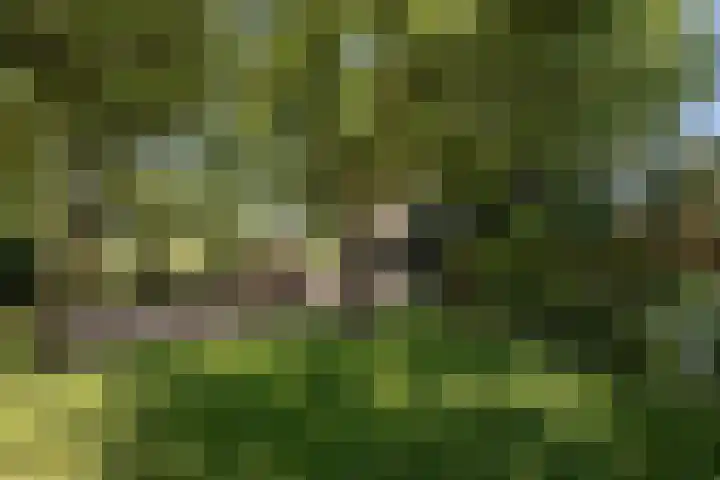 Sietse Veldstraweg 11 Den Ham thumbnail 57
