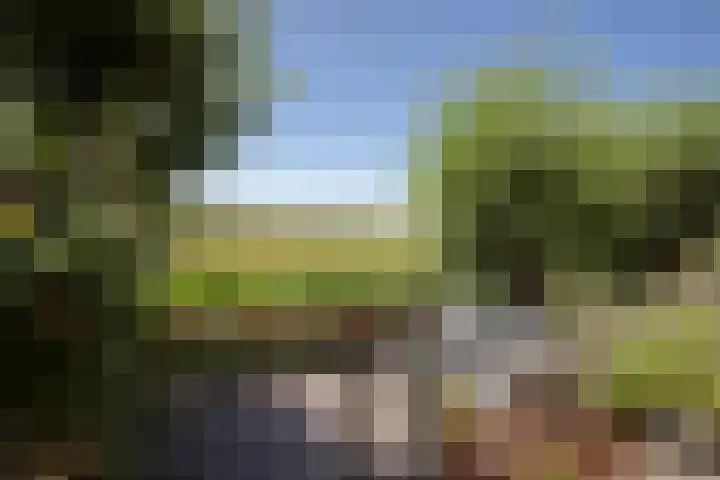 Sietse Veldstraweg 11 Den Ham thumbnail 58