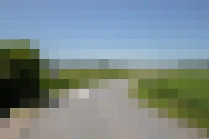 Sietse Veldstraweg 11 Den Ham thumbnail 59