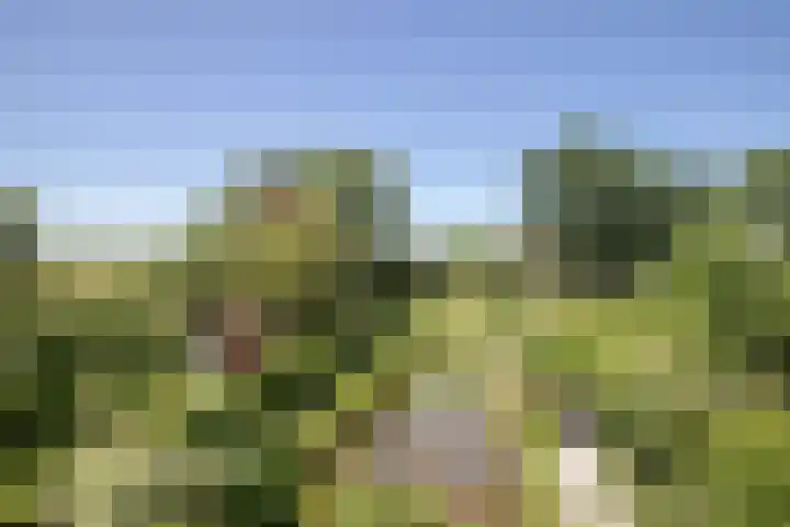Sietse Veldstraweg 11 Den Ham thumbnail 6