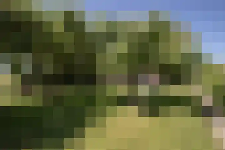 Sietse Veldstraweg 11 Den Ham thumbnail 7