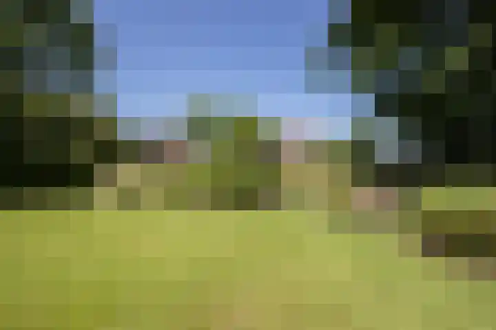 Sietse Veldstraweg 11 Den Ham thumbnail 8