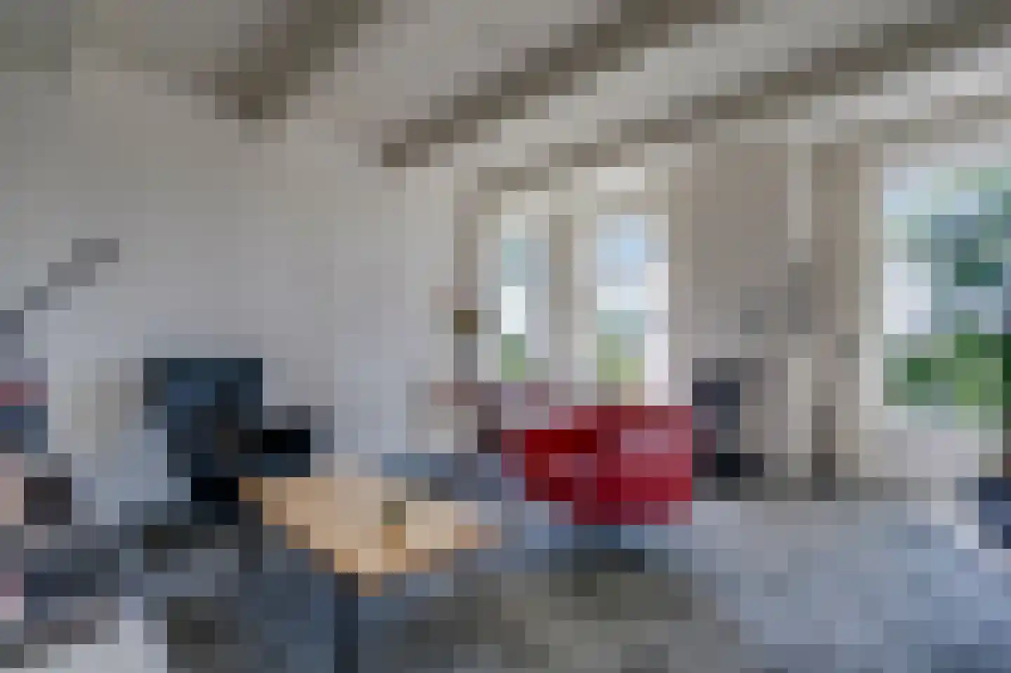 Sietse Veldstraweg 50 Den Ham thumbnail 15