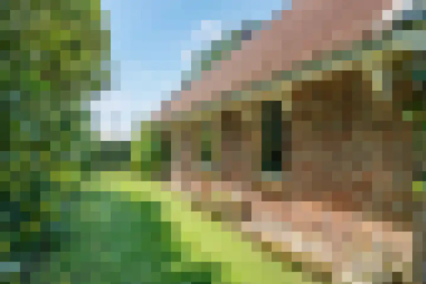 Sietse Veldstraweg 50 Den Ham thumbnail 34