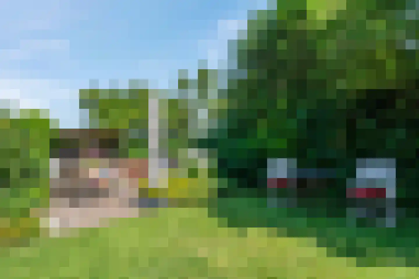 Sietse Veldstraweg 50 Den Ham thumbnail 36