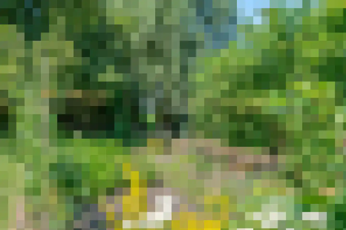Sietse Veldstraweg 50 Den Ham thumbnail 38