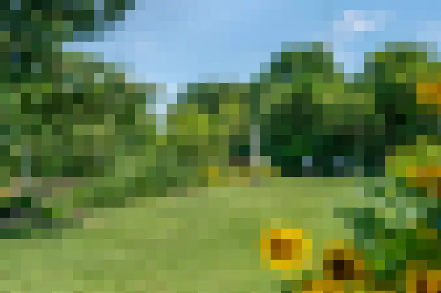 Sietse Veldstraweg 50 Den Ham thumbnail 41