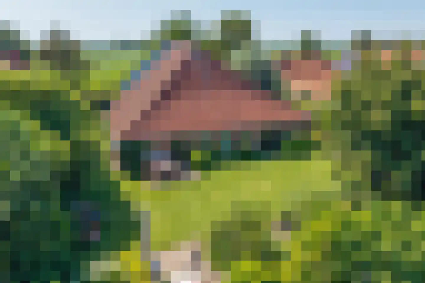 Sietse Veldstraweg 50 Den Ham thumbnail 43