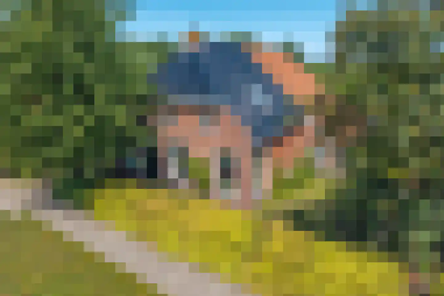 Sietse Veldstraweg 50 Den Ham thumbnail 45