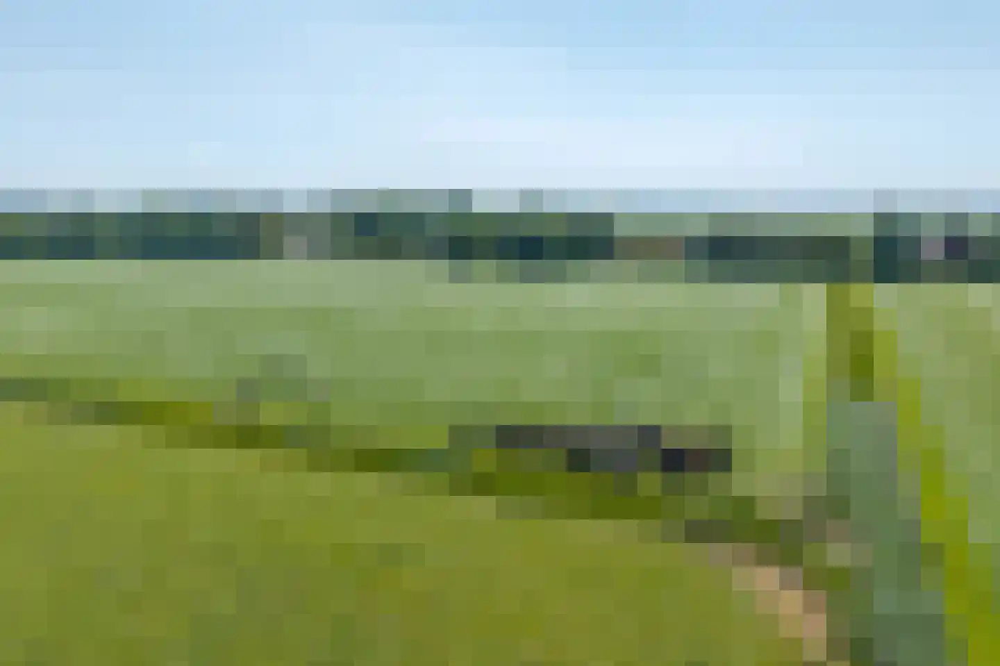 Sietse Veldstraweg 50 Den Ham thumbnail 48