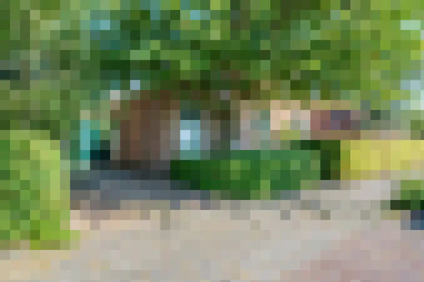 Sietse Veldstraweg 50 Den Ham thumbnail 7