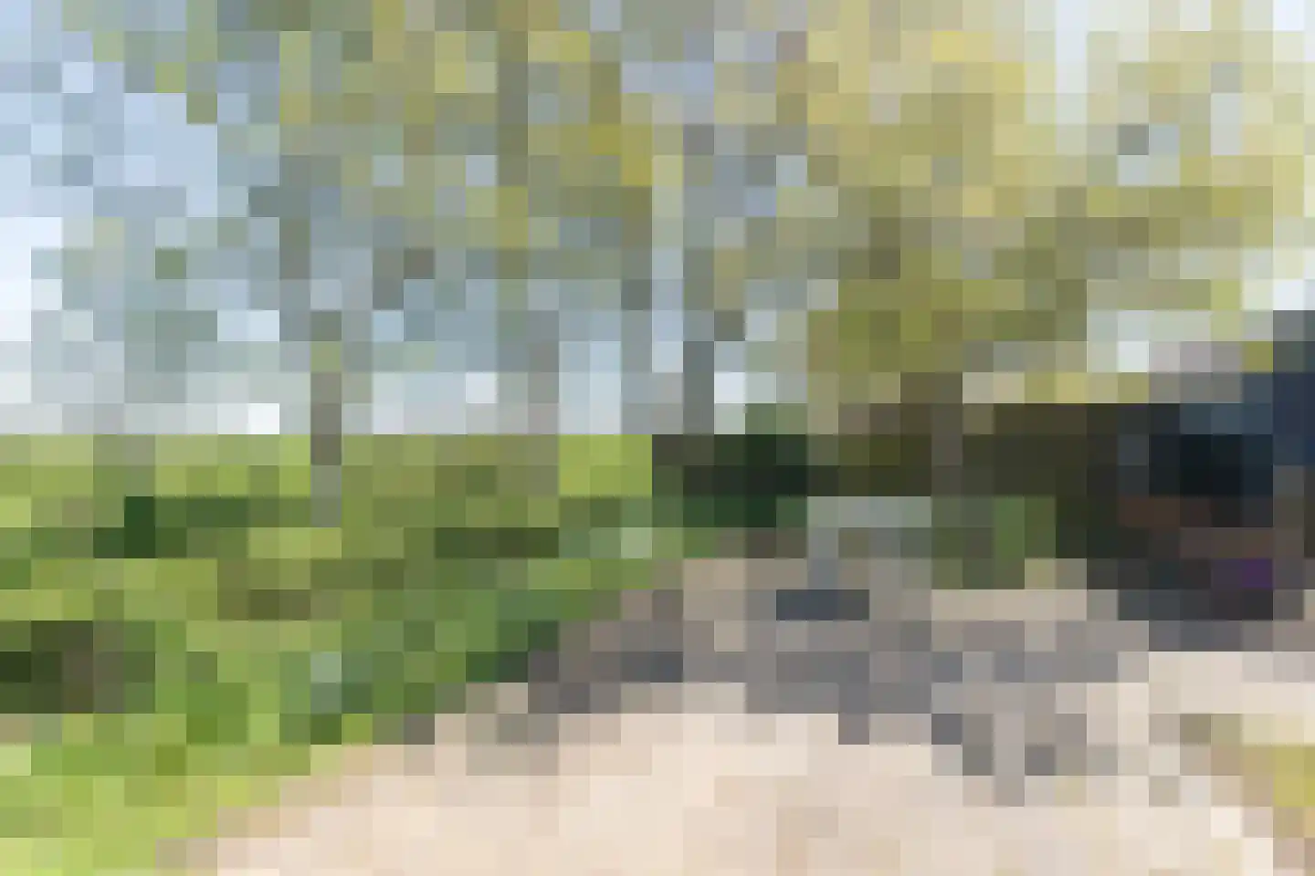 Sietse Veldstraweg 72 Den Ham thumbnail 25