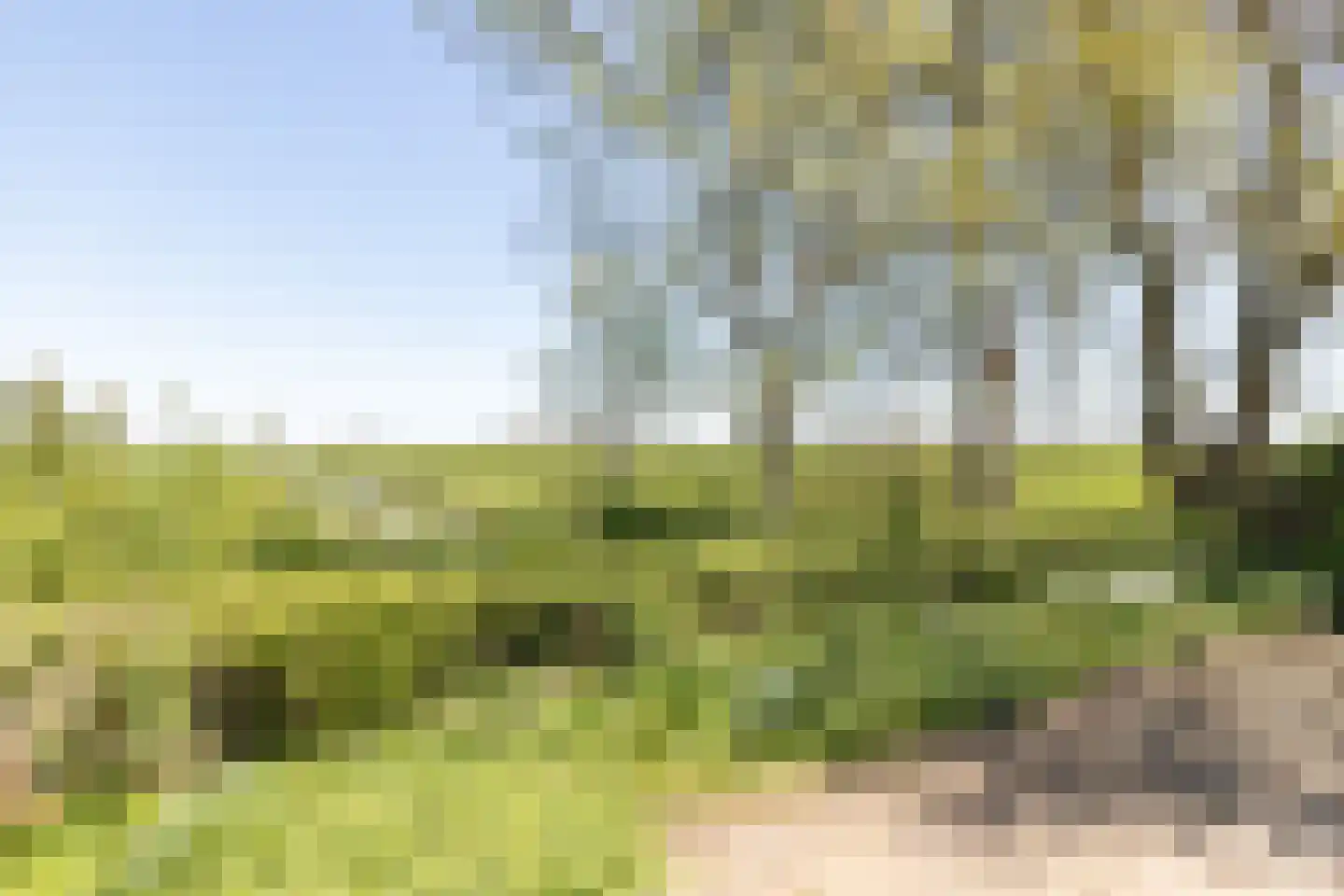 Sietse Veldstraweg 72 Den Ham thumbnail 26