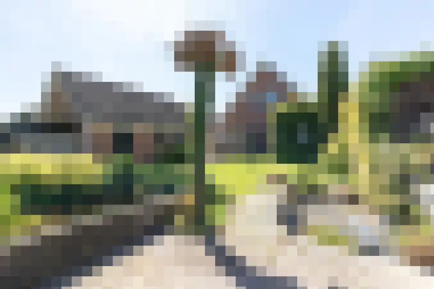Sietse Veldstraweg 72 Den Ham thumbnail 29