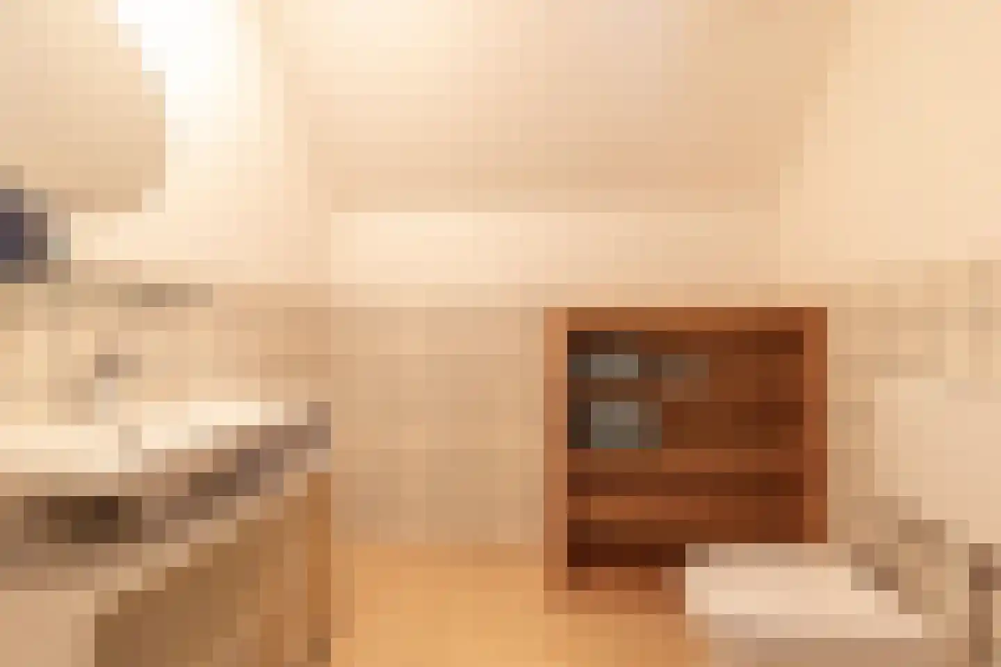 Sietse Veldstraweg 72 Den Ham thumbnail 35
