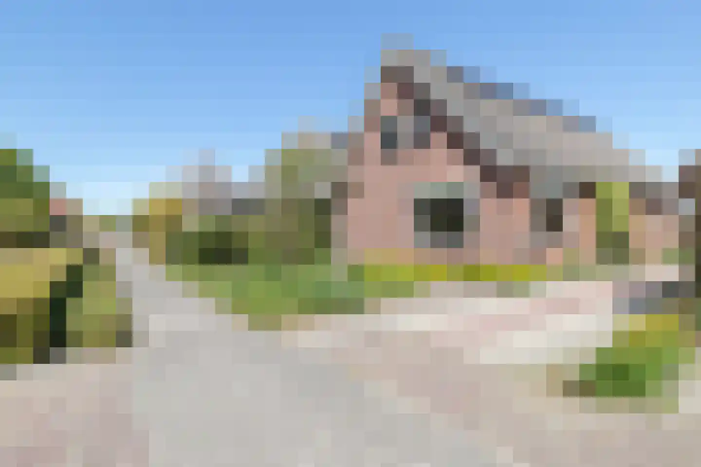 Sietse Veldstraweg 72 Den Ham thumbnail 39