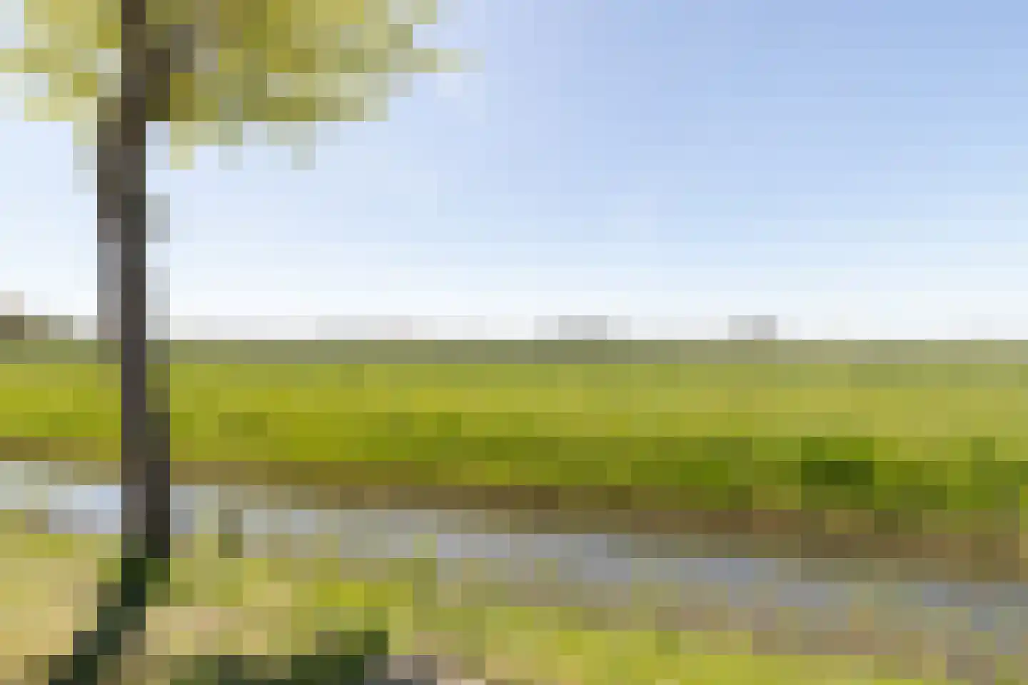 Sietse Veldstraweg 72 Den Ham thumbnail 4