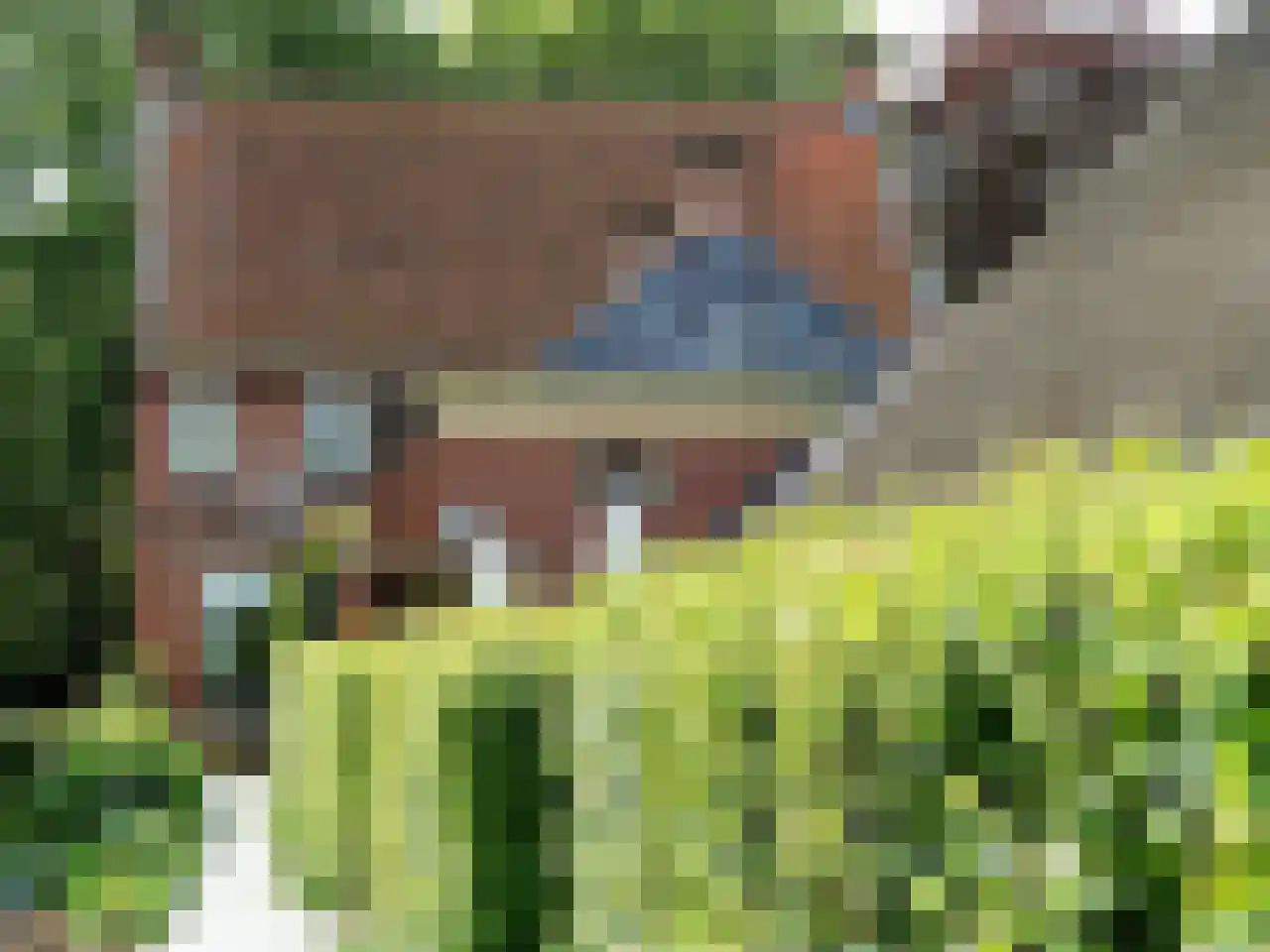 Sietse Veldstraweg 72 Den Ham thumbnail 5