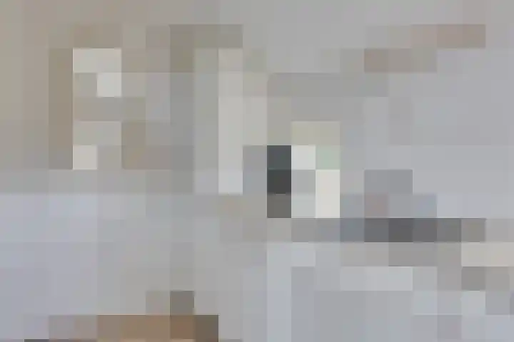 Sieverdinkweg 14 Winterswijk Kotten thumbnail 17