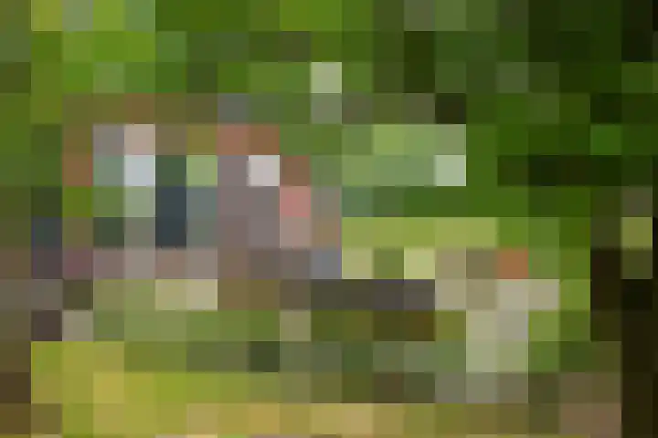 Sieverdinkweg 14 Winterswijk Kotten thumbnail 4