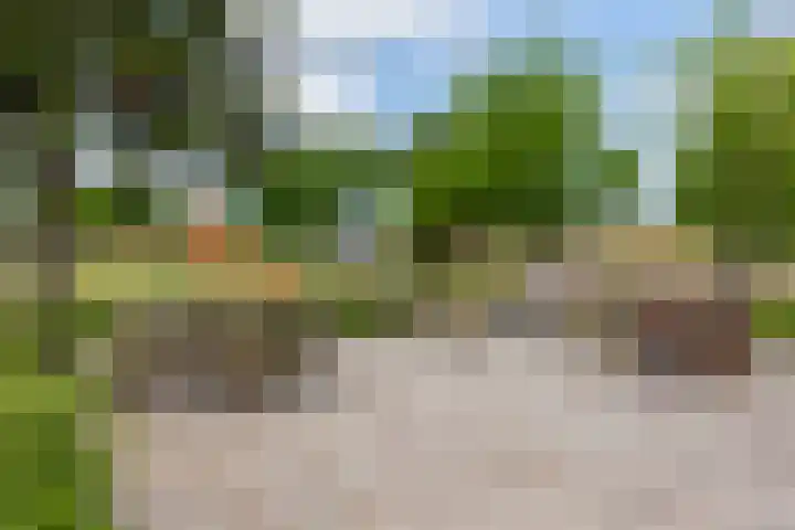 Sieverdinkweg 14 Winterswijk Kotten thumbnail 42