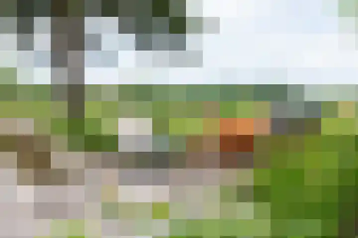 Sieverdinkweg 14 Winterswijk Kotten thumbnail 43