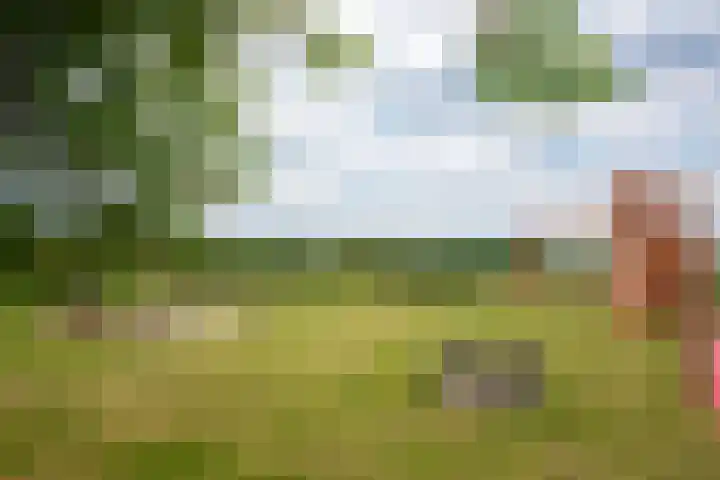 Sieverdinkweg 14 Winterswijk Kotten thumbnail 44